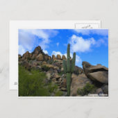 Carte Postale Trésors du désert (Devant / Derrière)