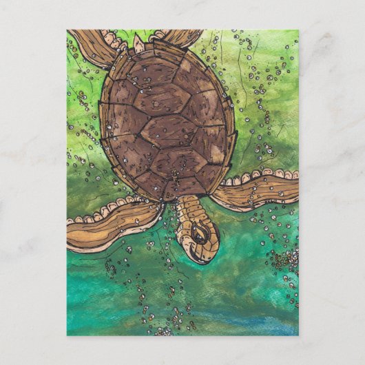 Carte postale Trevor Turtle (Devant)