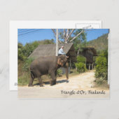 Carte Postale Triangle d'Or, Thailande (Devant / Derrière)