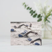 Carte Postale Triathlètes en compétition dans la jambe de nage d (Debout devant)