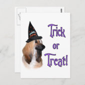 Carte Postale Trick afghan (Devant / Derrière)