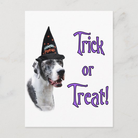 Carte Postale Trick Great Dane (merle) (Devant)
