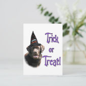 Carte Postale Trick Labrador Retriever (chocolat) (Debout devant)