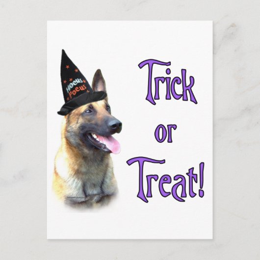 Carte Postale Trick Malinois (Devant)