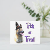 Carte Postale Trick Malinois (Debout devant)
