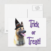 Carte Postale Trick Malinois (Devant / Derrière)