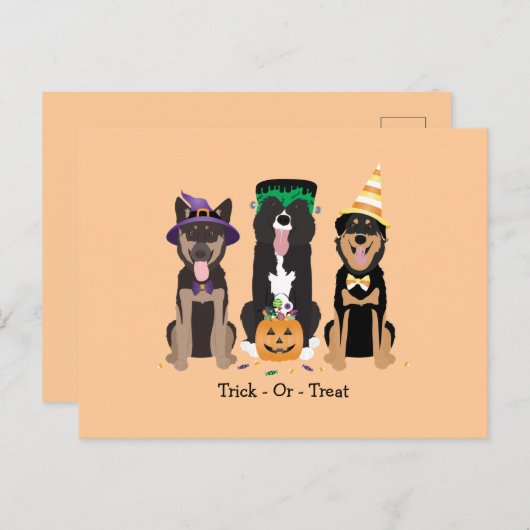 Carte Postale Trick Ou Traiter Les Chiens En Costumes D'Hallowee (Devant / Derrière)