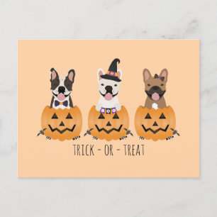 Carte Postale Trick Ou Treat French Buldogs Citrouille