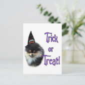 Carte Postale Trick Pomeranian (Debout devant)