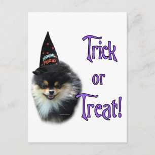 Carte Postale Trick Pomeranian