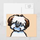 Carte Postale Tricolor Coton de Tuléar Face (Devant / Derrière)