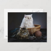 Carte Postale tricot laine drôle d'anniversaire furry chat perse (Devant / Derrière)