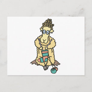 Carte Postale Tricot mouton