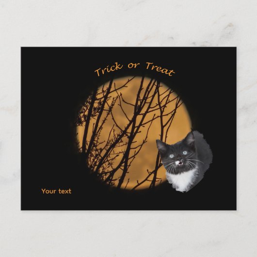 Carte Postale Tricoter ou traiter Halloween chat noir & lune (Devant)