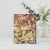 Carte Postale Tricycle vintage (Debout devant)