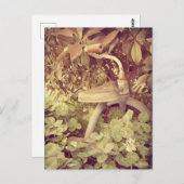 Carte Postale Tricycle vintage (Devant / Derrière)