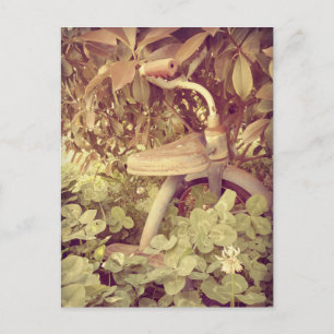 Carte Postale Tricycle vintage