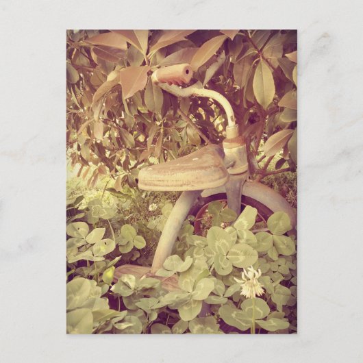 Carte Postale Tricycle vintage (Devant)