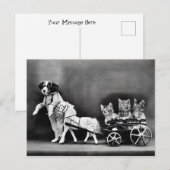 Carte Postale Trier À Trois Chiens (Devant / Derrière)