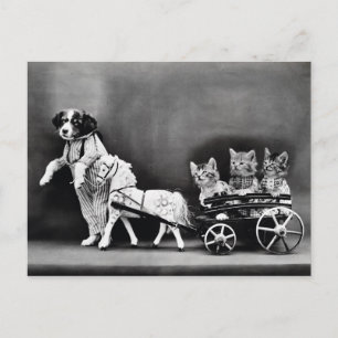 Carte Postale Trier À Trois Chiens