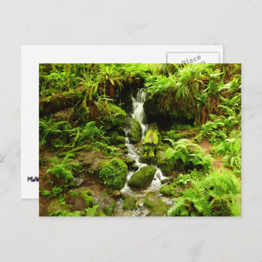 Carte Postale Trillium Falls (Devant / Derrière)