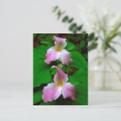 Carte Postale Trillium Fleur sauvage (Debout devant)