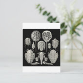 Carte Postale Trilobite ! (Debout devant)