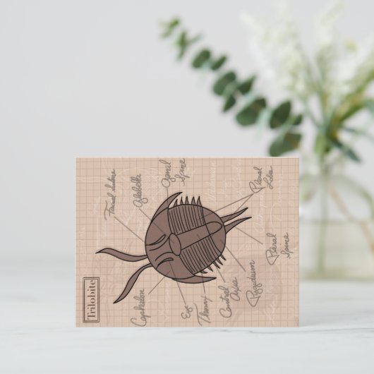 Carte Postale Trilobite (Debout devant)