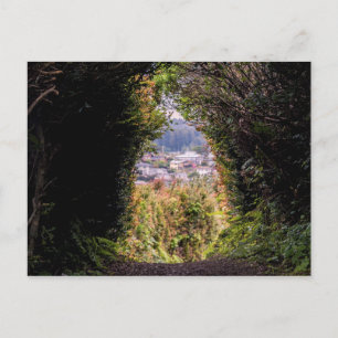 Carte Postale Trinidad