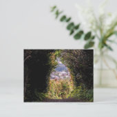 Carte Postale Trinidad (Debout devant)