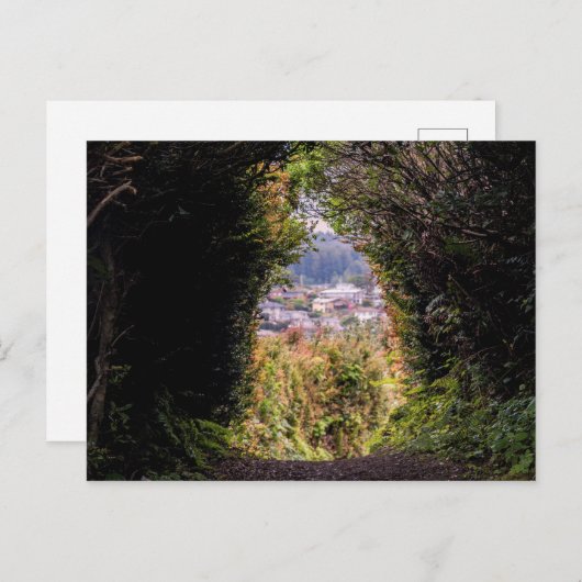 Carte Postale Trinidad (Devant / Derrière)