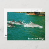 Carte Postale Trinité-et-Tobago (Devant / Derrière)