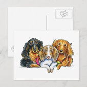 Carte Postale Trio Dachshund (Devant / Derrière)