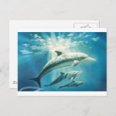 Carte Postale Trio dauphin (Devant / Derrière)
