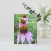 Carte Postale Trio de fleurs de cône (Debout devant)