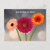 Carte postale : Trio de Gerberas (Devant)
