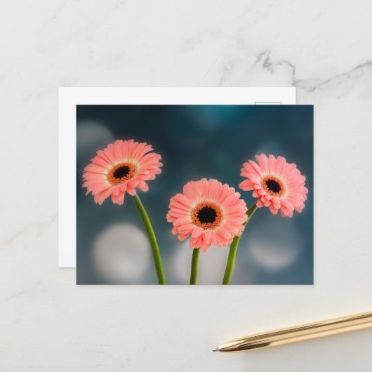 Carte postale : Trio de Gerberas roses (Devant/Arrière en situation)