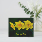 Carte postale Trio de jonquilles (Debout devant)