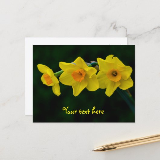 Carte postale Trio de jonquilles (Devant/Arrière en situation)