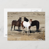 Carte Postale Trio de pâturage (Devant / Derrière)