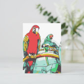 Carte Postale Trio de perroquets (Debout devant)