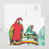 Carte Postale Trio de perroquets (Devant / Derrière)