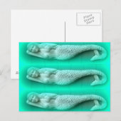 Carte Postale trio de sirène verte (Devant / Derrière)
