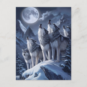 Carte Postale Trio des loups du Sommet de minuit