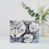 Carte Postale Trio du dollar de sable (Debout devant)