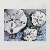 Carte Postale Trio du dollar de sable (Devant)