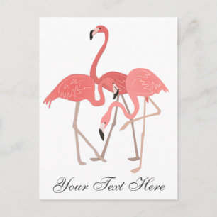 Carte Postale Trio Flamant rose rose