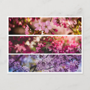 Carte Postale Trio floral dégradant