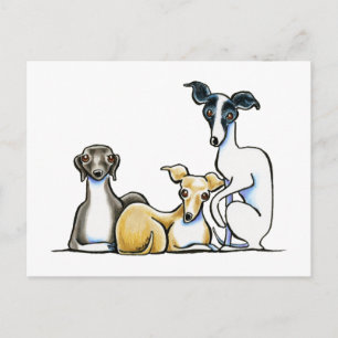 Carte Postale Trio italien Greyhound