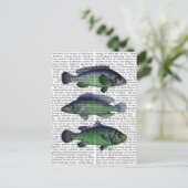 Carte Postale Trio poisson bleu et vert (Debout devant)
